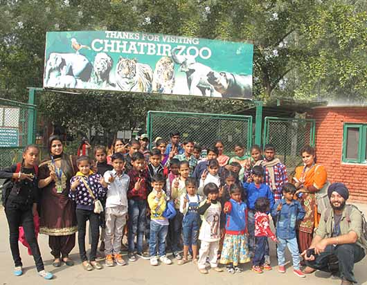zoo visit program for the children of the staff members