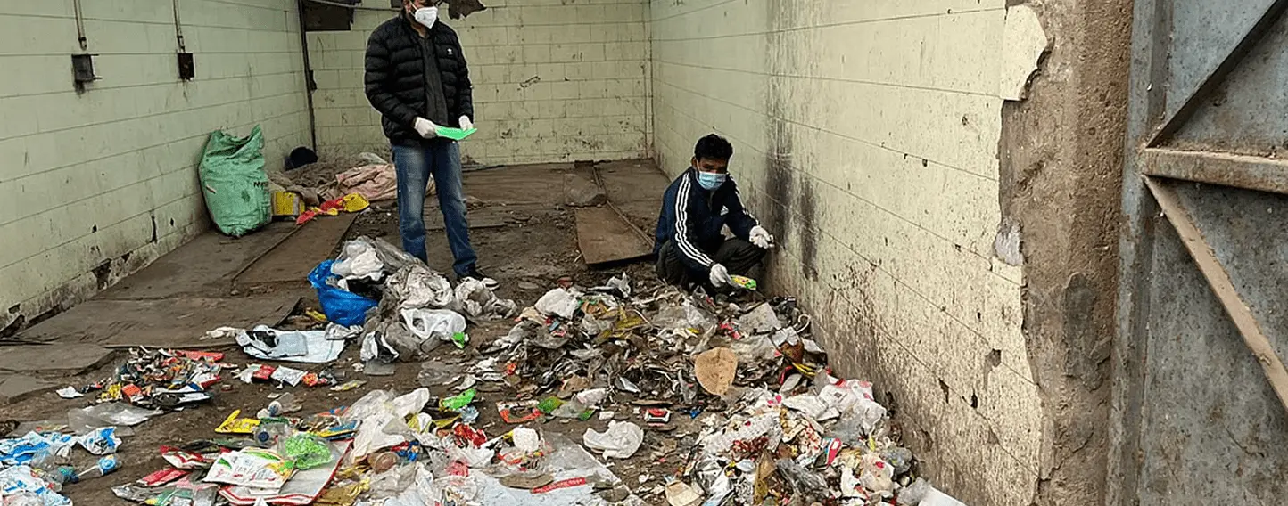 Reclaiming our cityscapes with urban forests